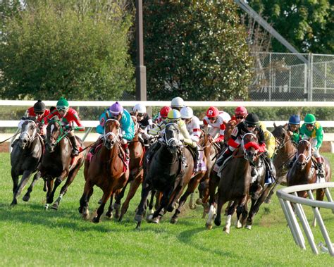 tvg horse racing entries model.